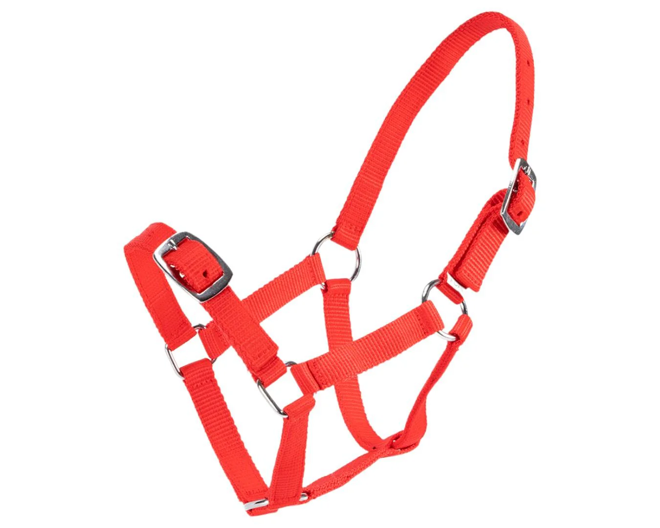 Rancher Economy Foal Halter - Image 9