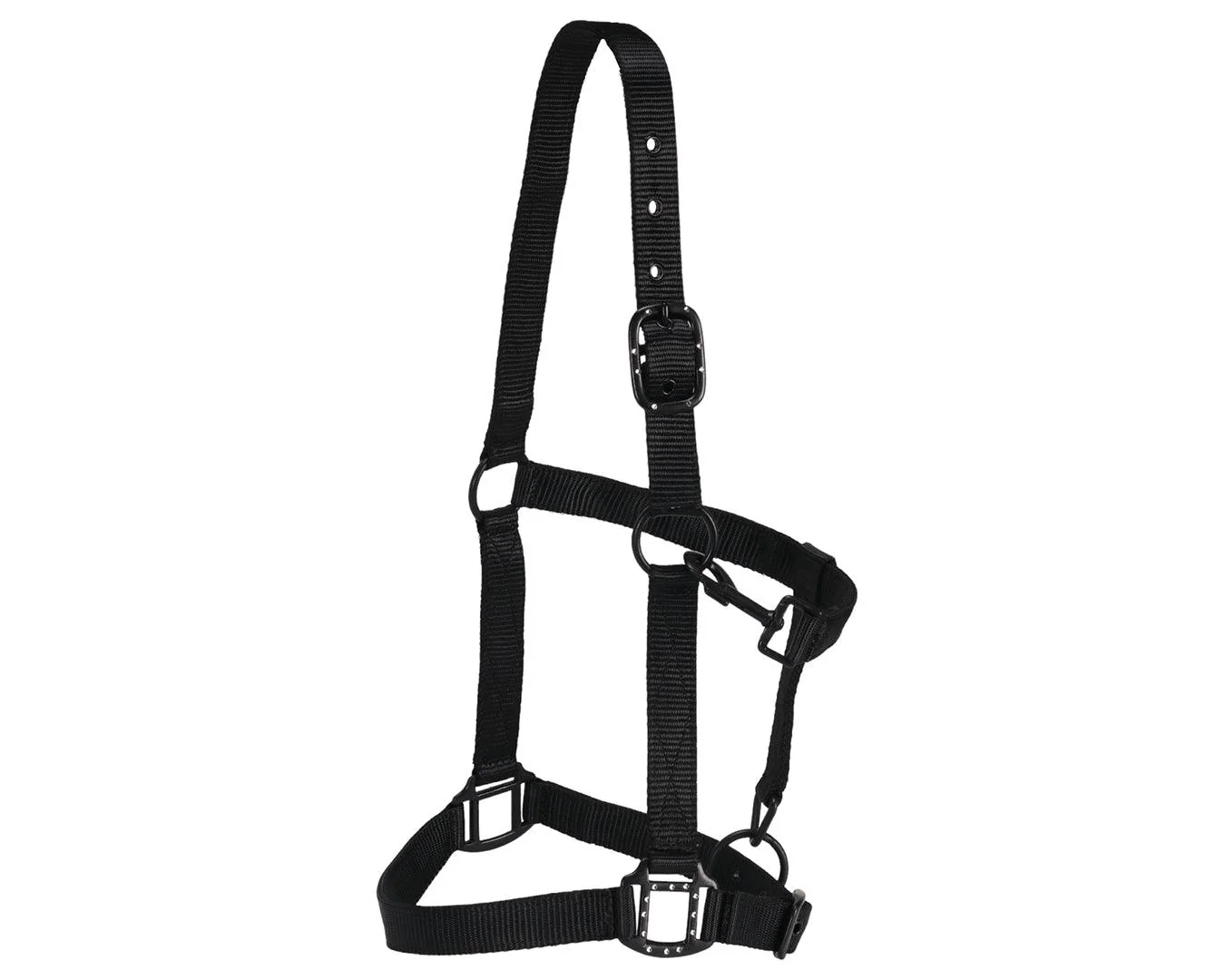 Rancher Halter w/Black Detail