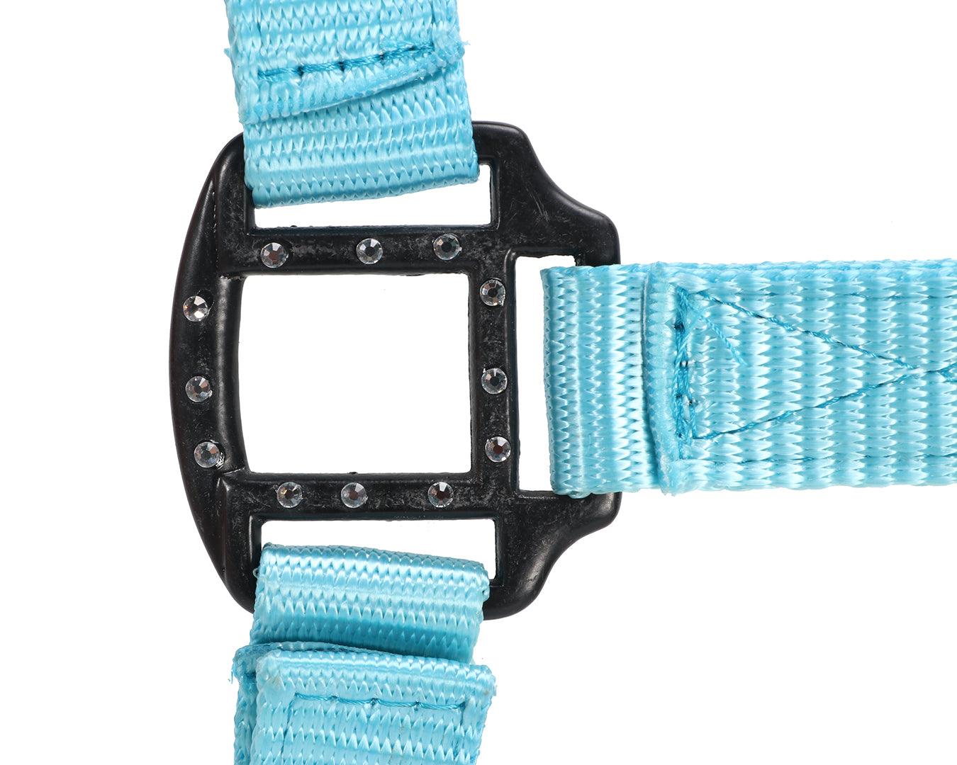 Rancher Halter w/Black Detail - Image 15
