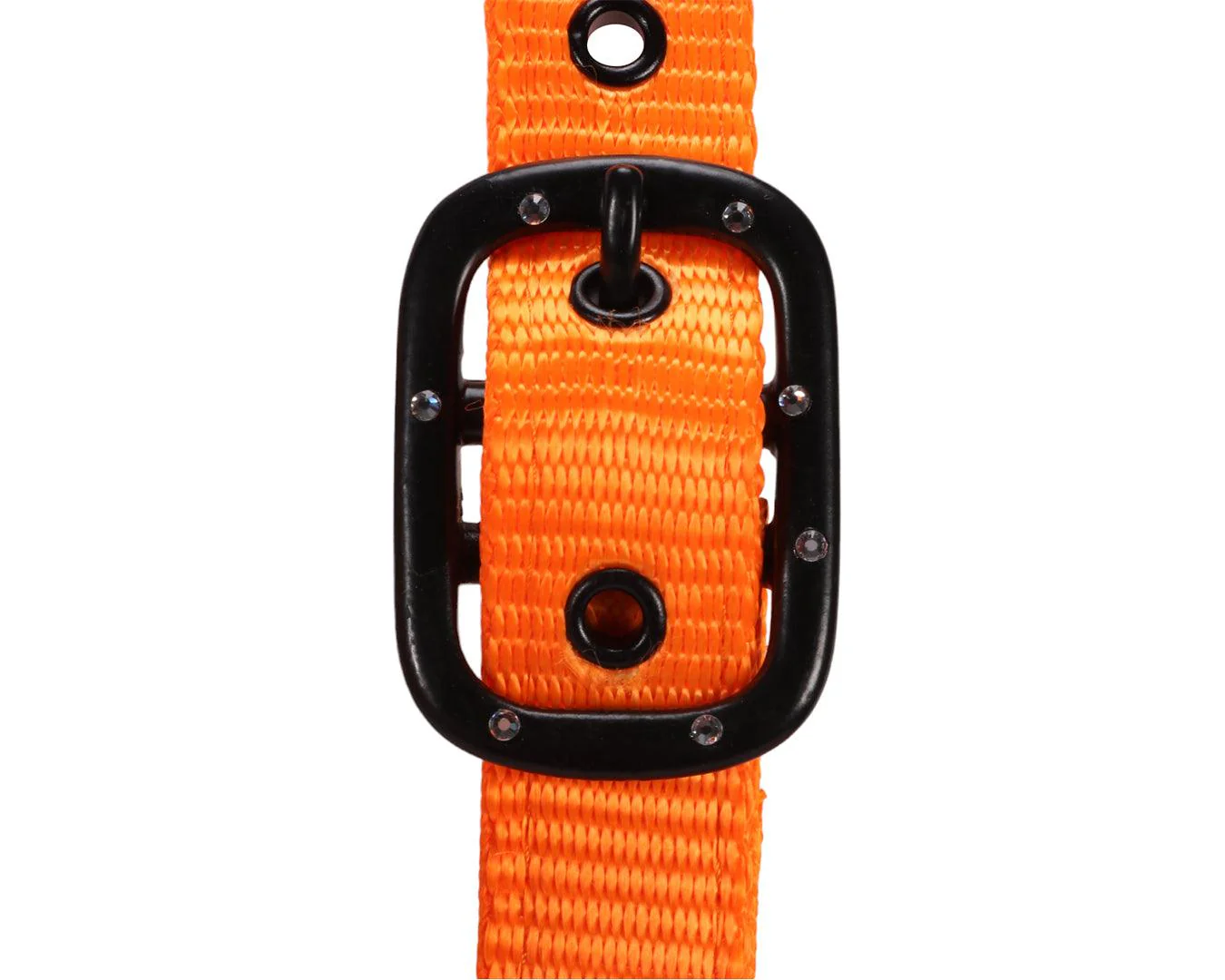 Rancher Halter w/Black Detail - Image 19
