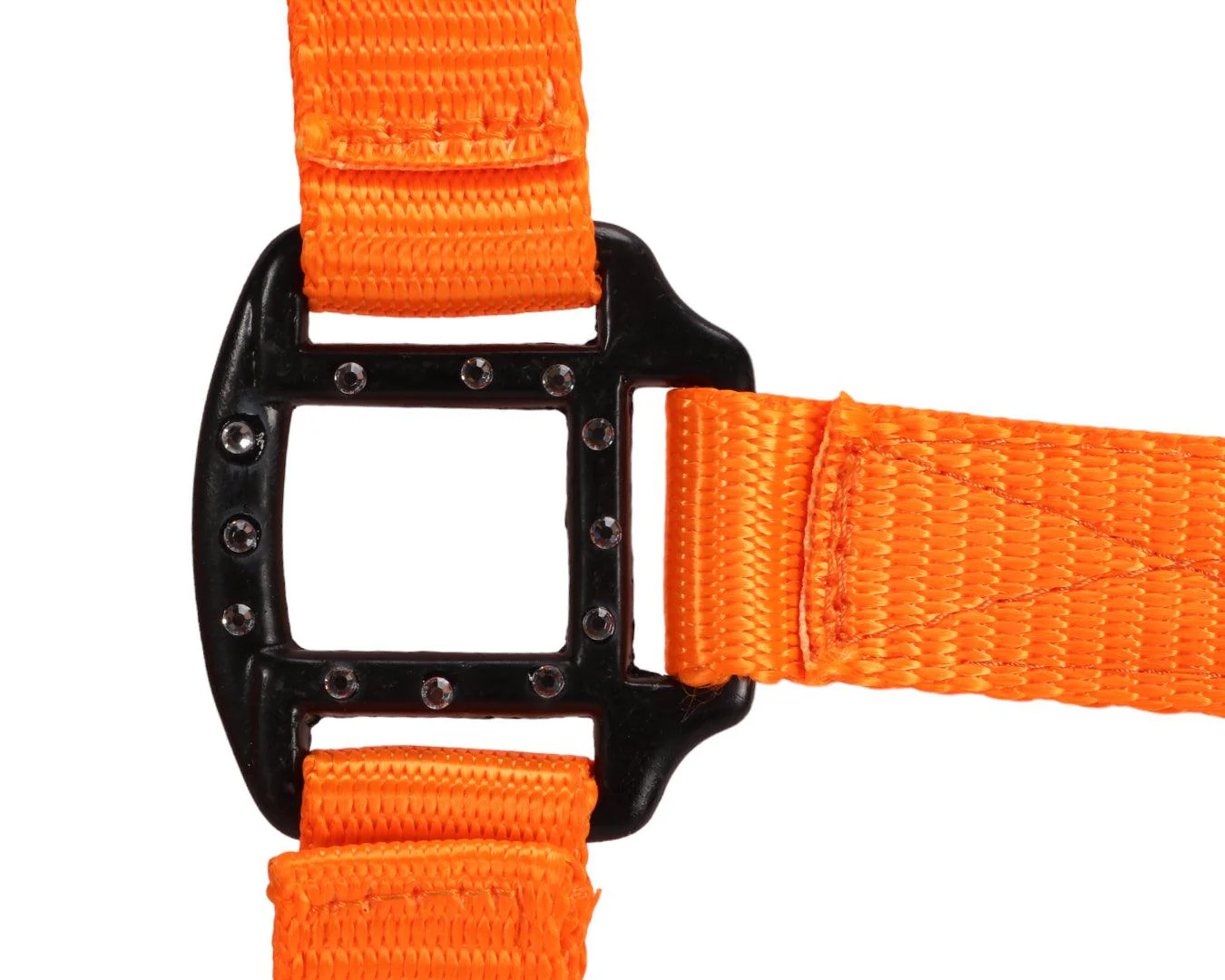 Rancher Halter w/Black Detail - Image 20