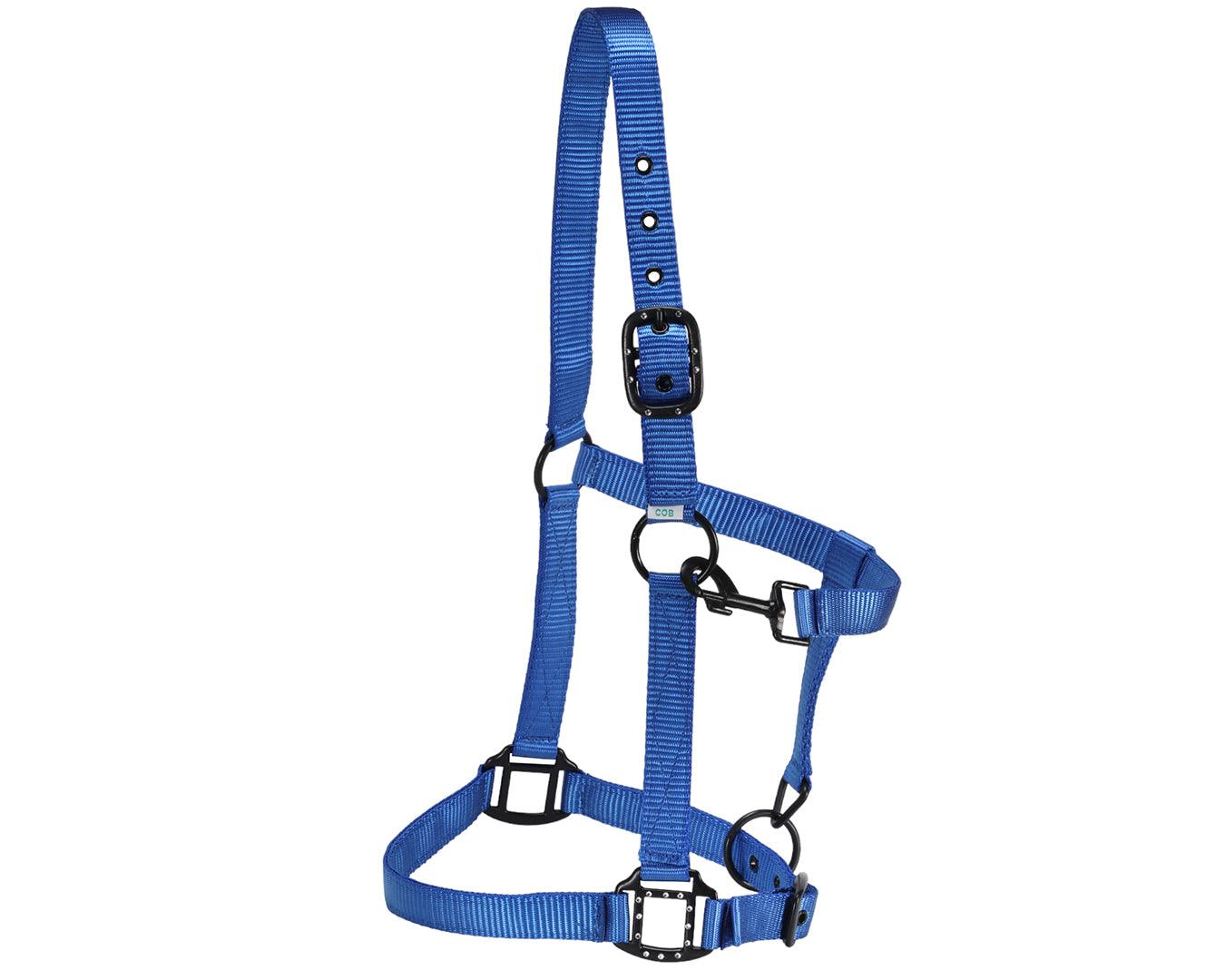 Rancher Halter w/Black Detail - Image 6