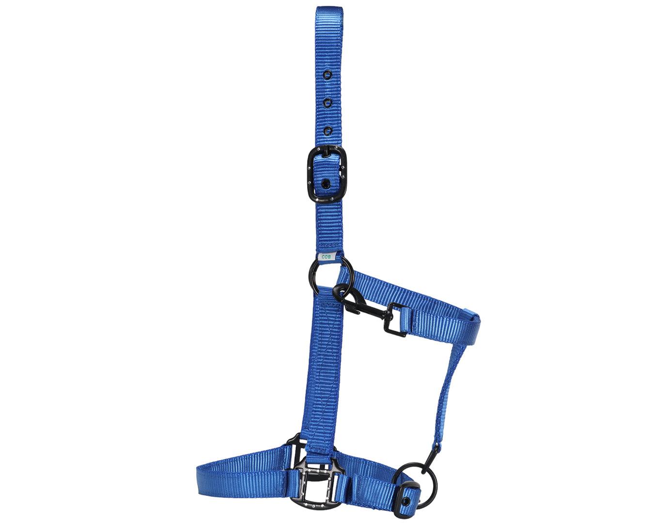 Rancher Halter w/Black Detail - Image 7