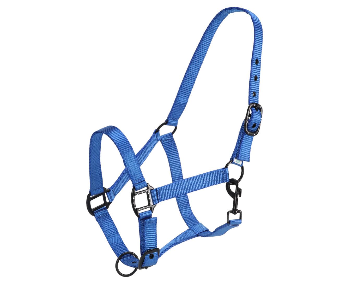 Rancher Halter w/Black Detail - Image 8