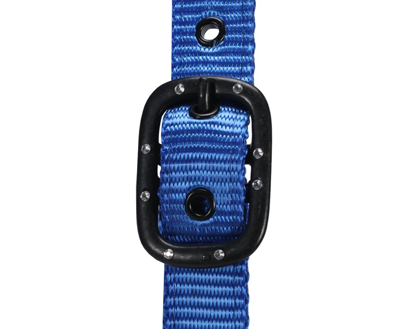 Rancher Halter w/Black Detail - Image 9