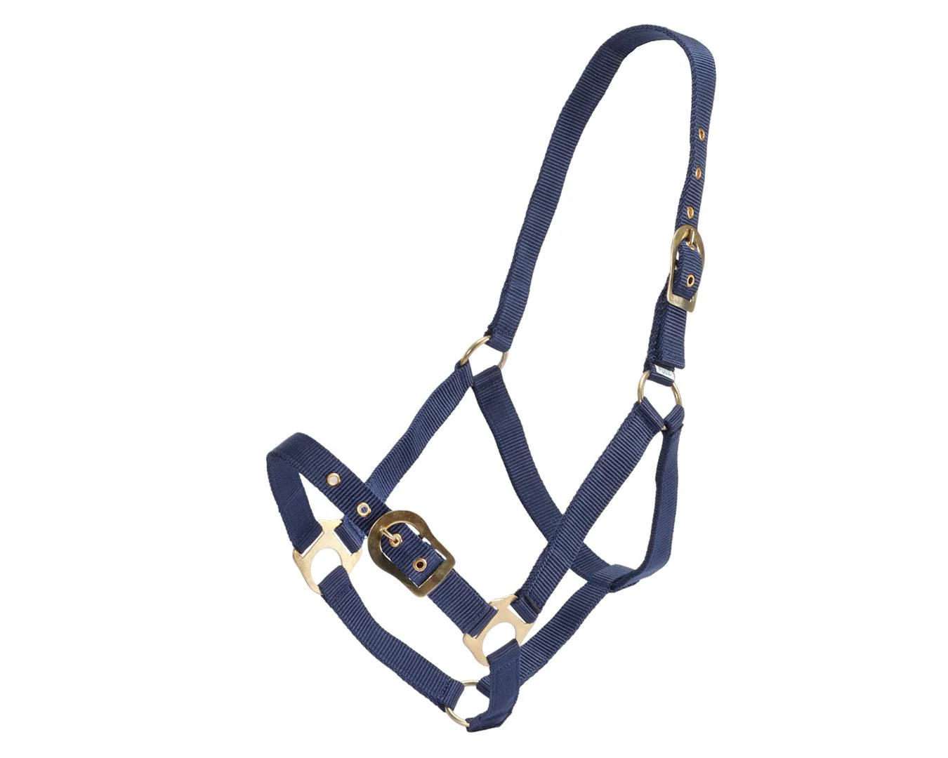 Rancher Halter w/Brass Buckles - Image 15