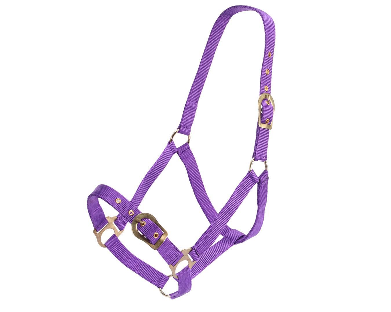 Rancher Halter w/Brass Buckles - Image 18