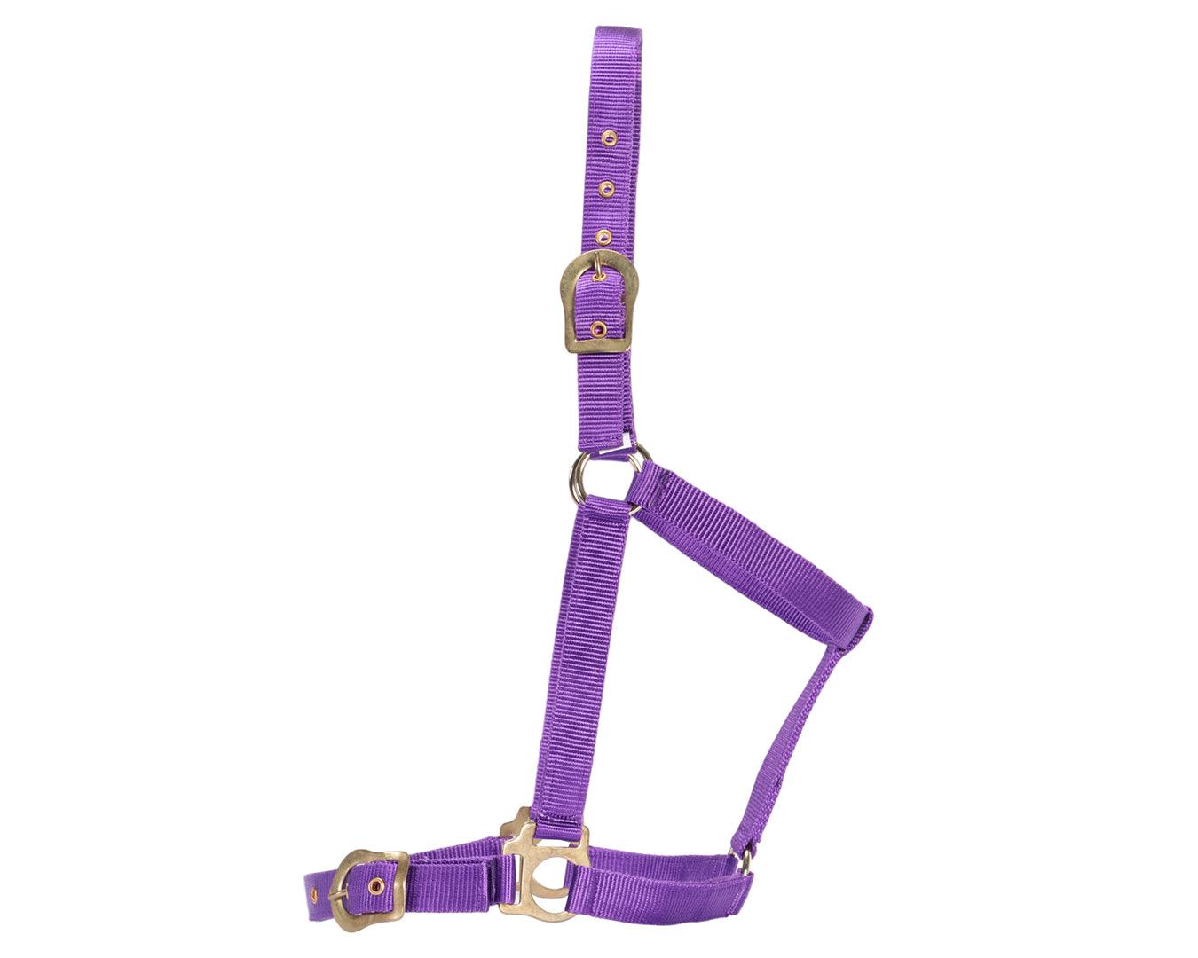Rancher Halter w/Brass Buckles - Image 19