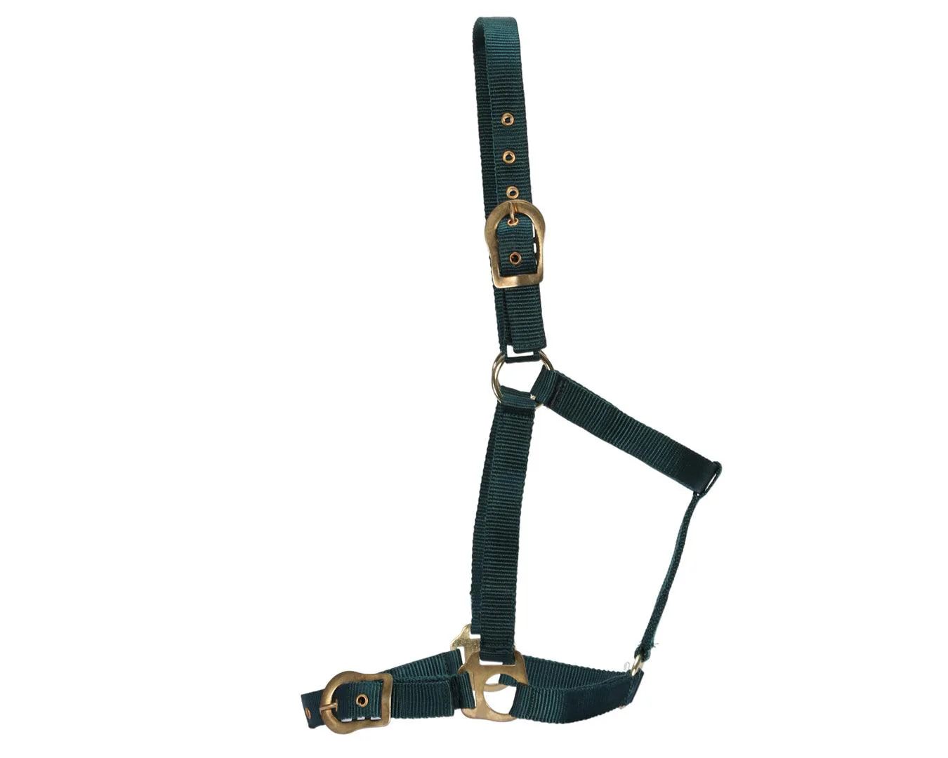 Rancher Halter w/Brass Buckles - Image 4