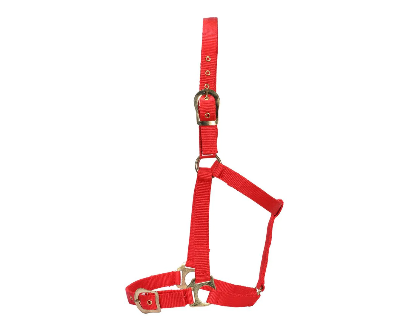 Rancher Halter w/Brass Buckles - Image 7