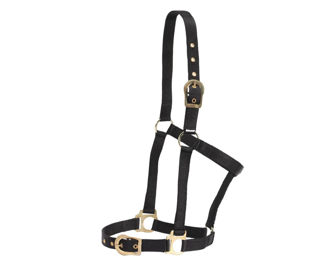 Rancher Halter w/Brass Buckles - Image 8