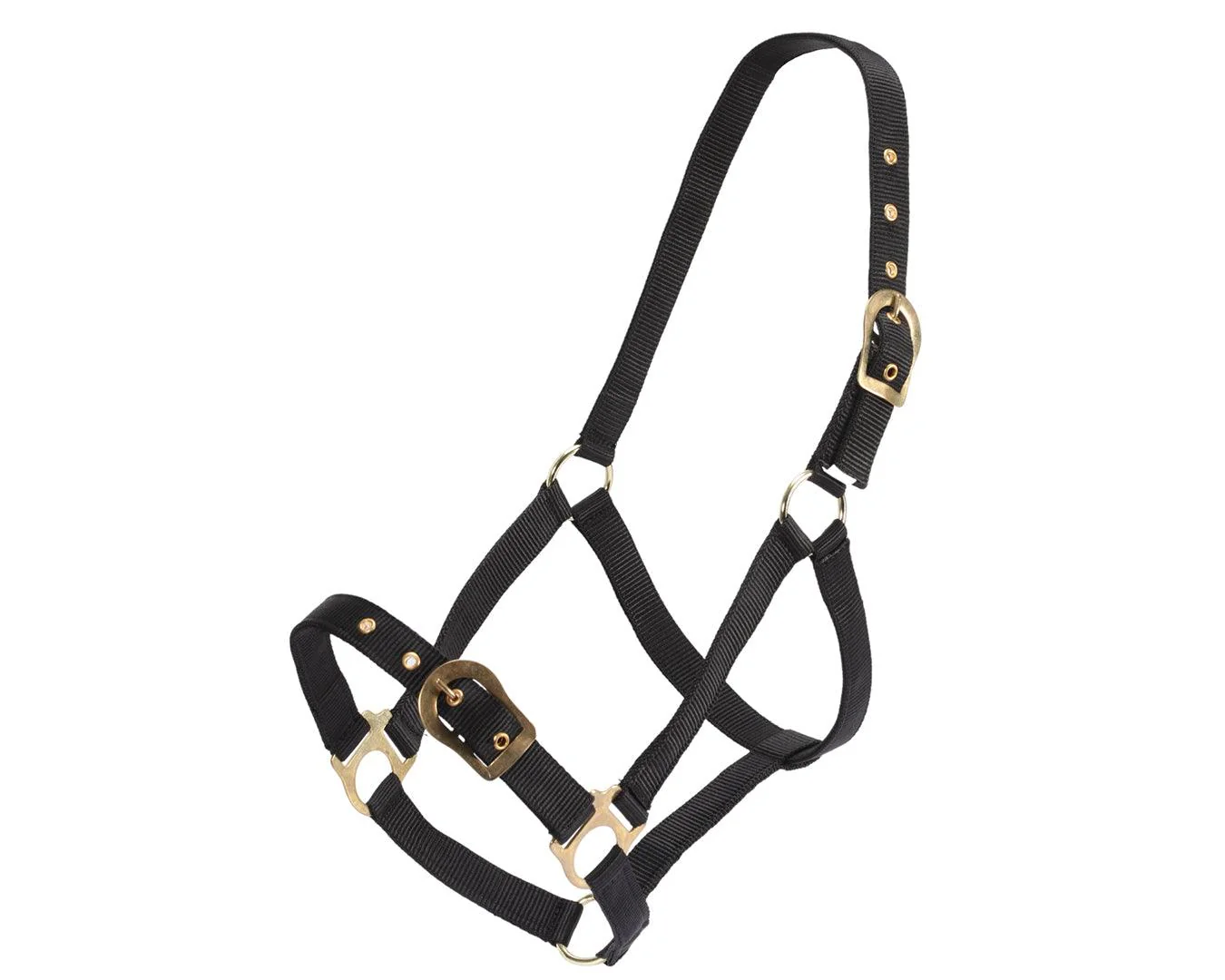 Rancher Halter w/Brass Buckles - Image 9
