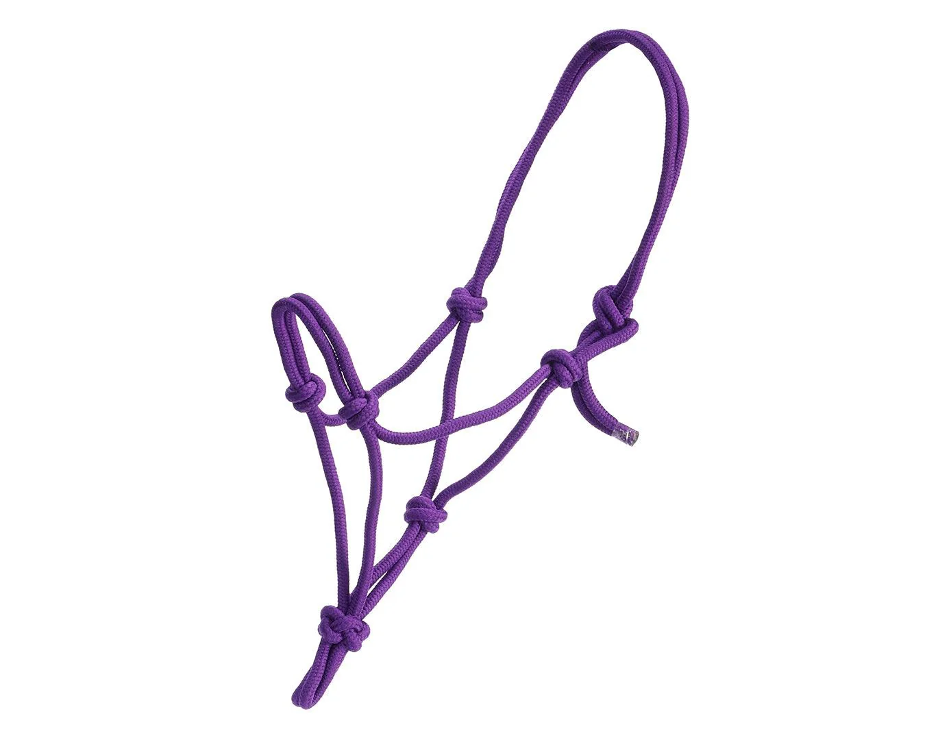 Rancher Mini Rope Halter - Image 4