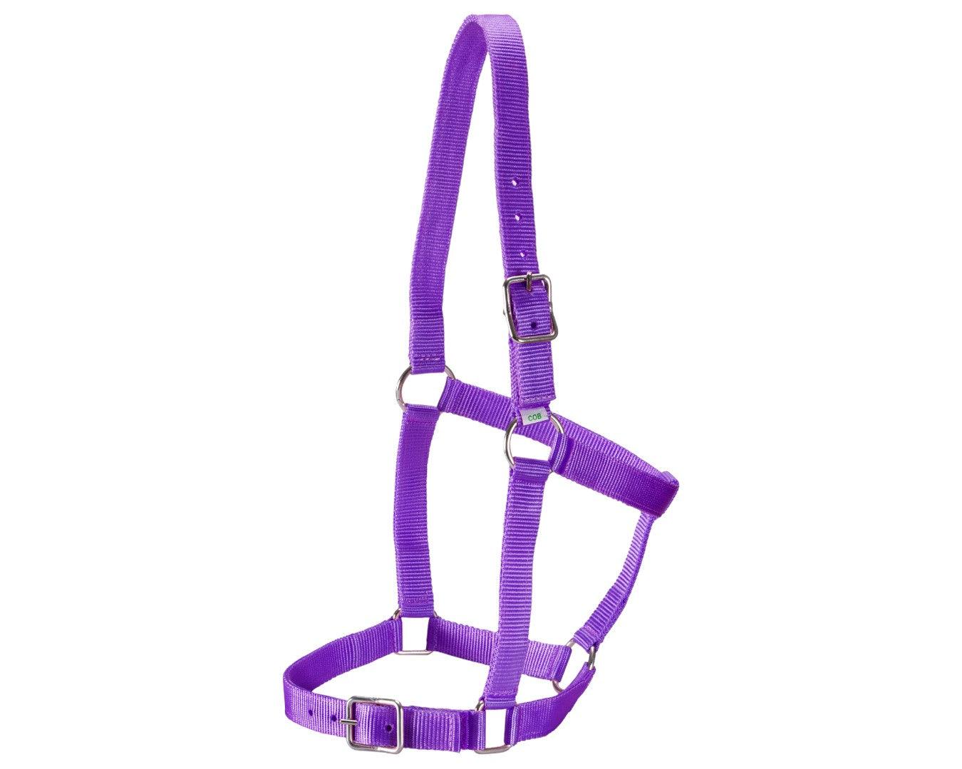 Rancher Stable Halter
