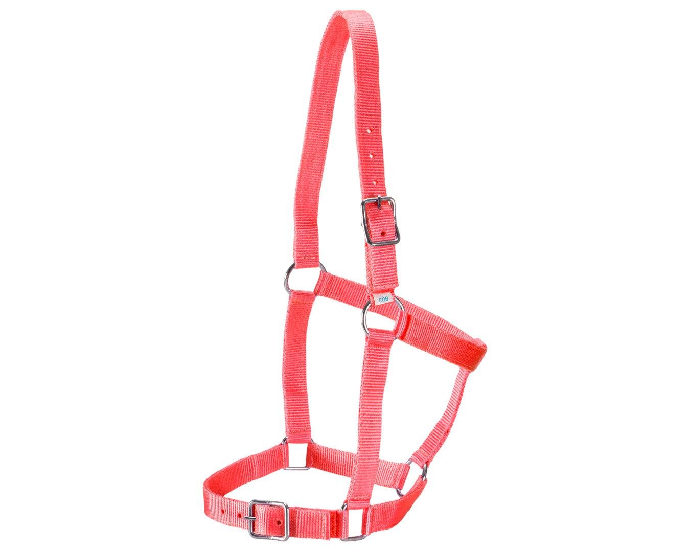Rancher Stable Halter - Image 12