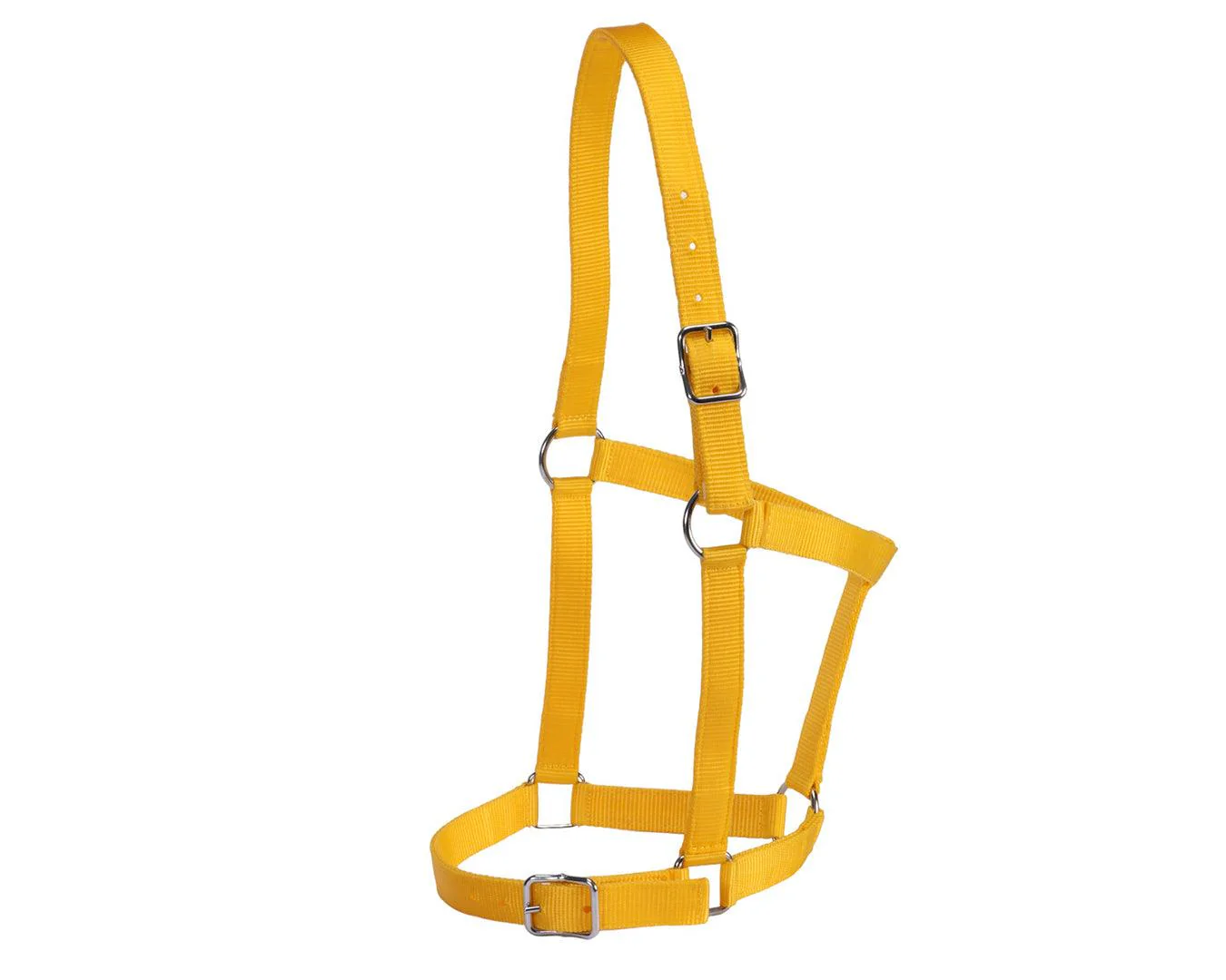 Rancher Stable Halter - Image 13