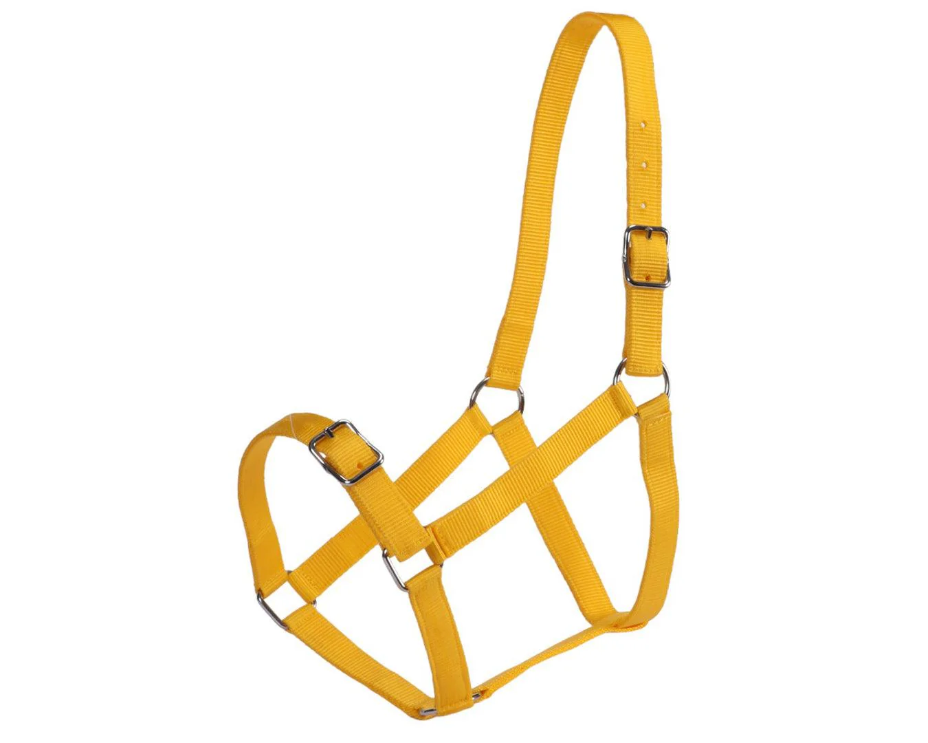 Rancher Stable Halter - Image 14