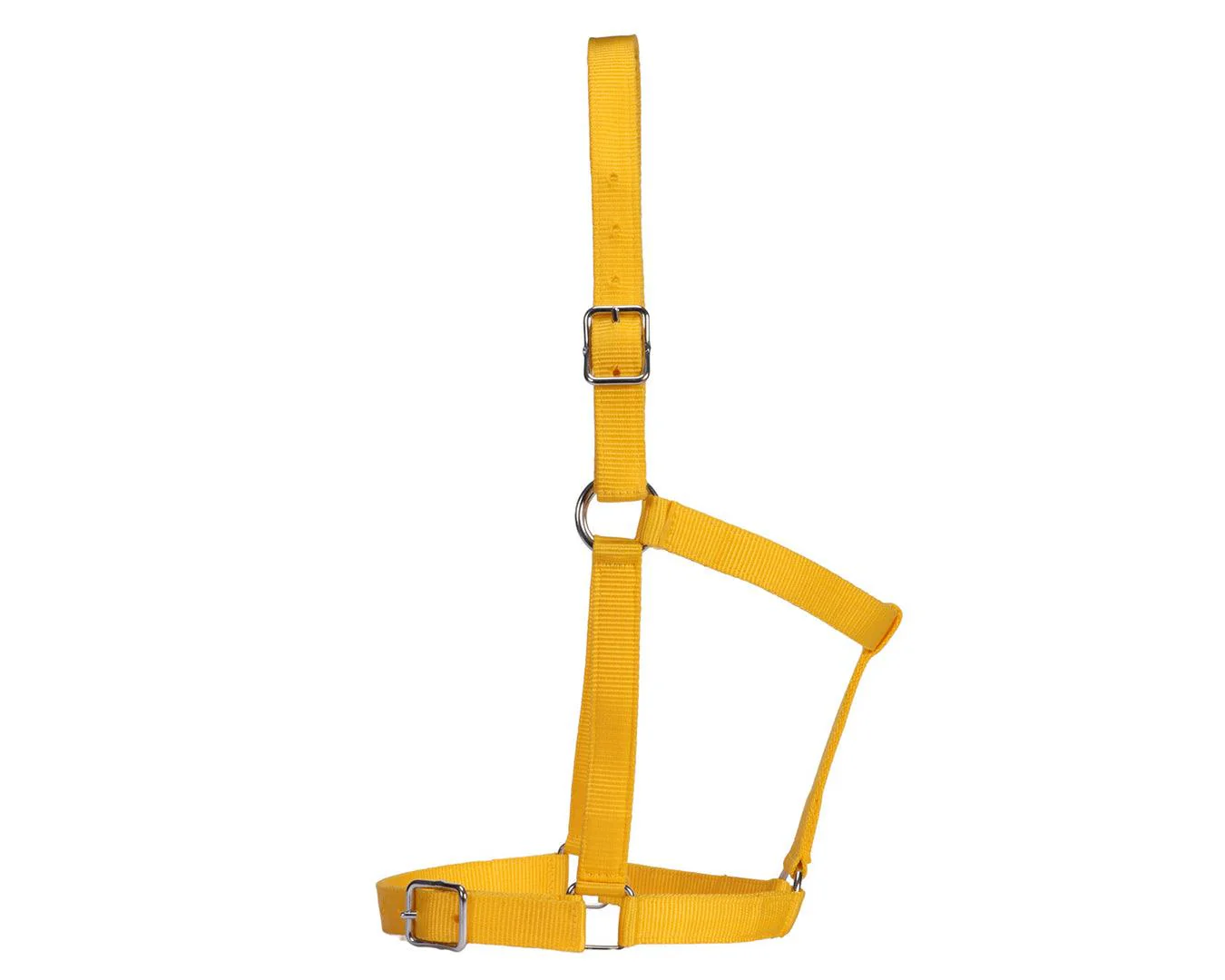 Rancher Stable Halter - Image 15