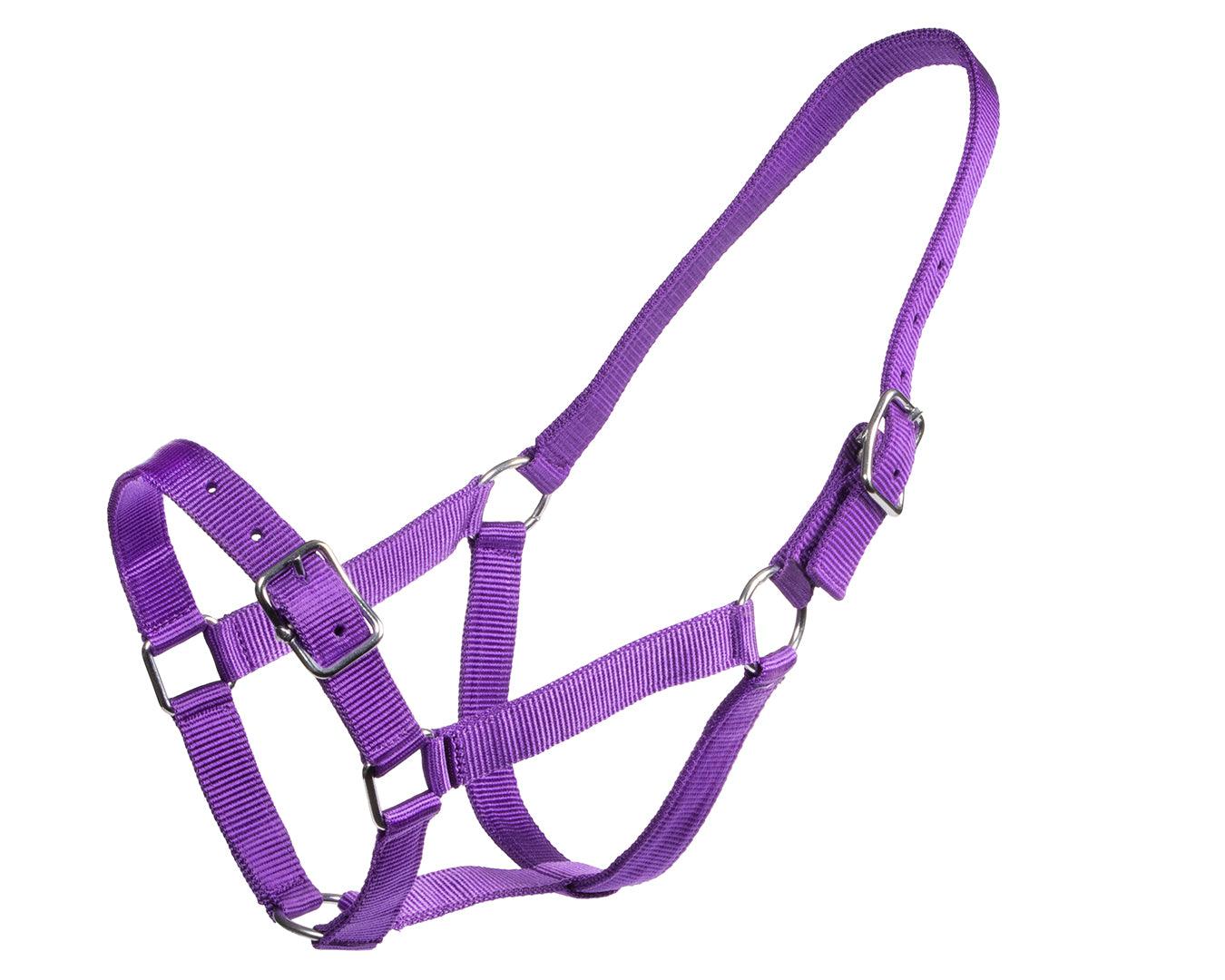 Rancher Stable Halter - Image 2