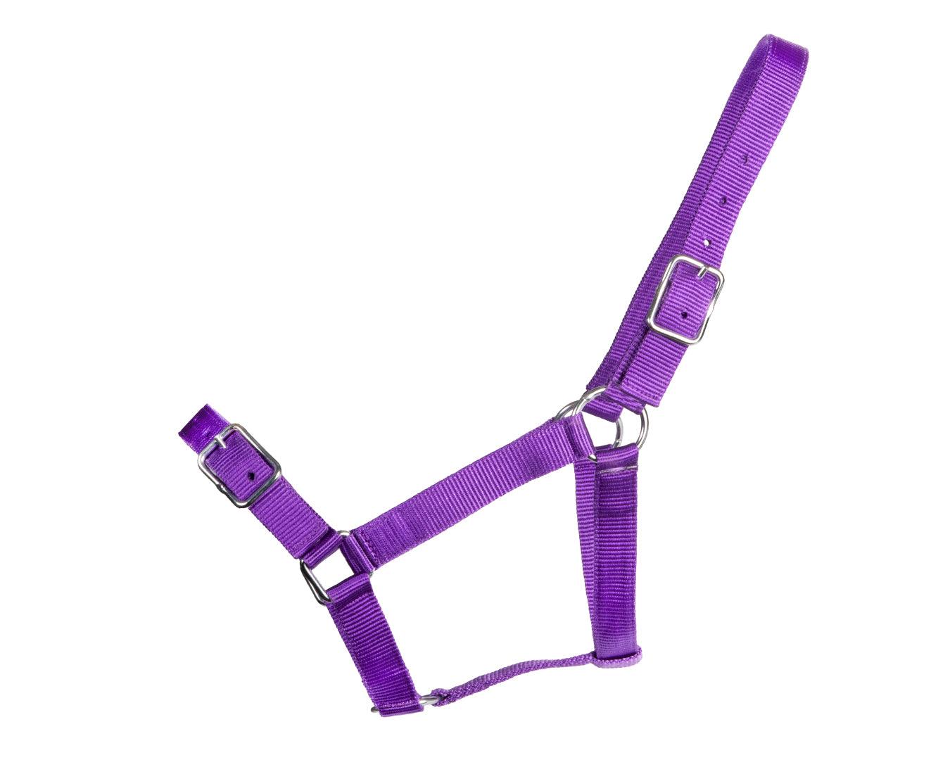 Rancher Stable Halter - Image 3