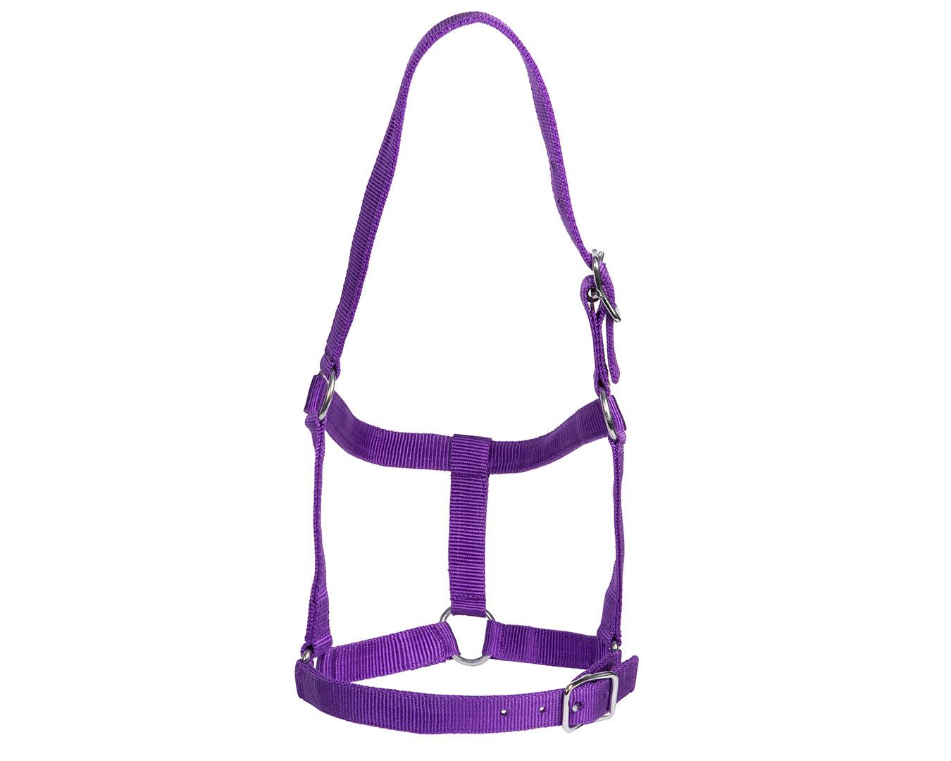 Rancher Stable Halter - Image 4