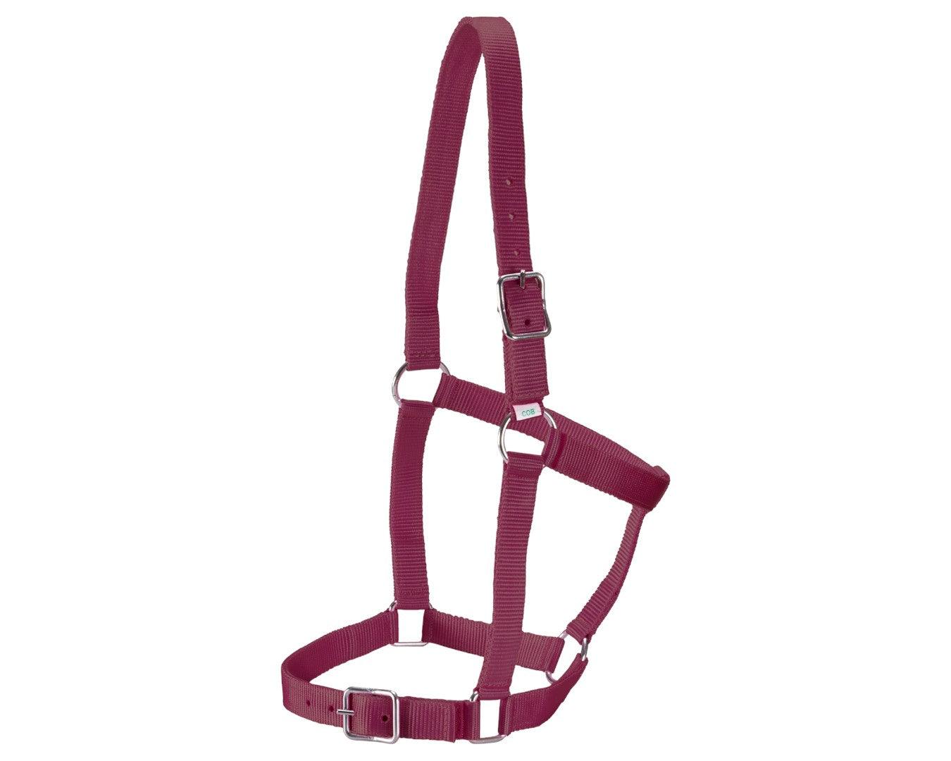Rancher Stable Halter - Image 7
