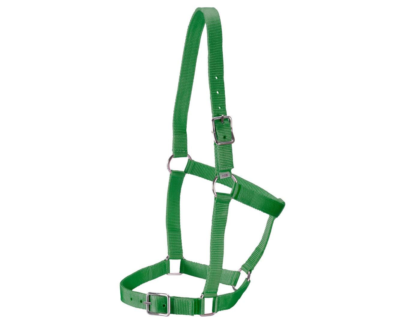 Rancher Stable Halter - Image 9