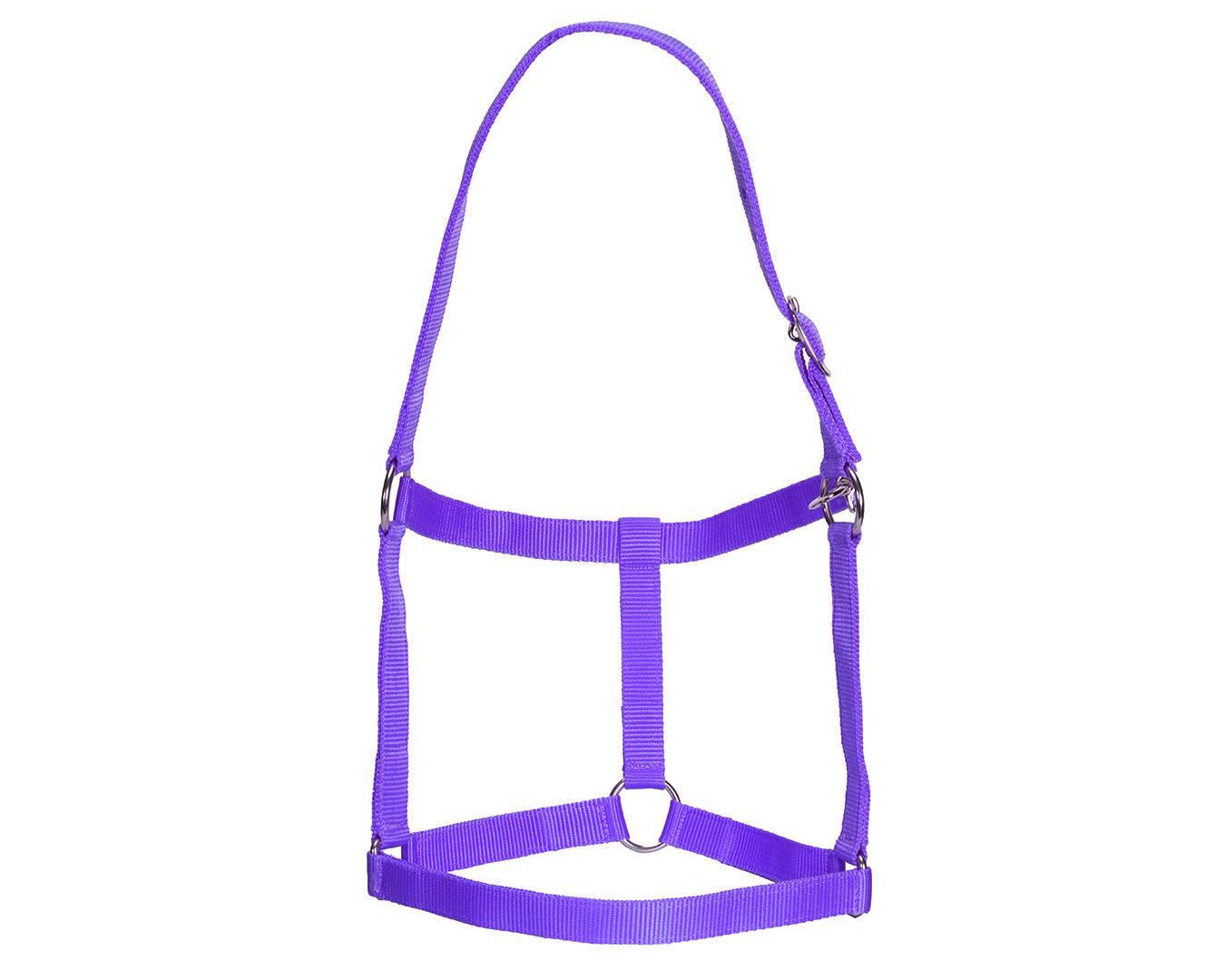 Rancher Economy Stable Halter - Various Colours - Image 11