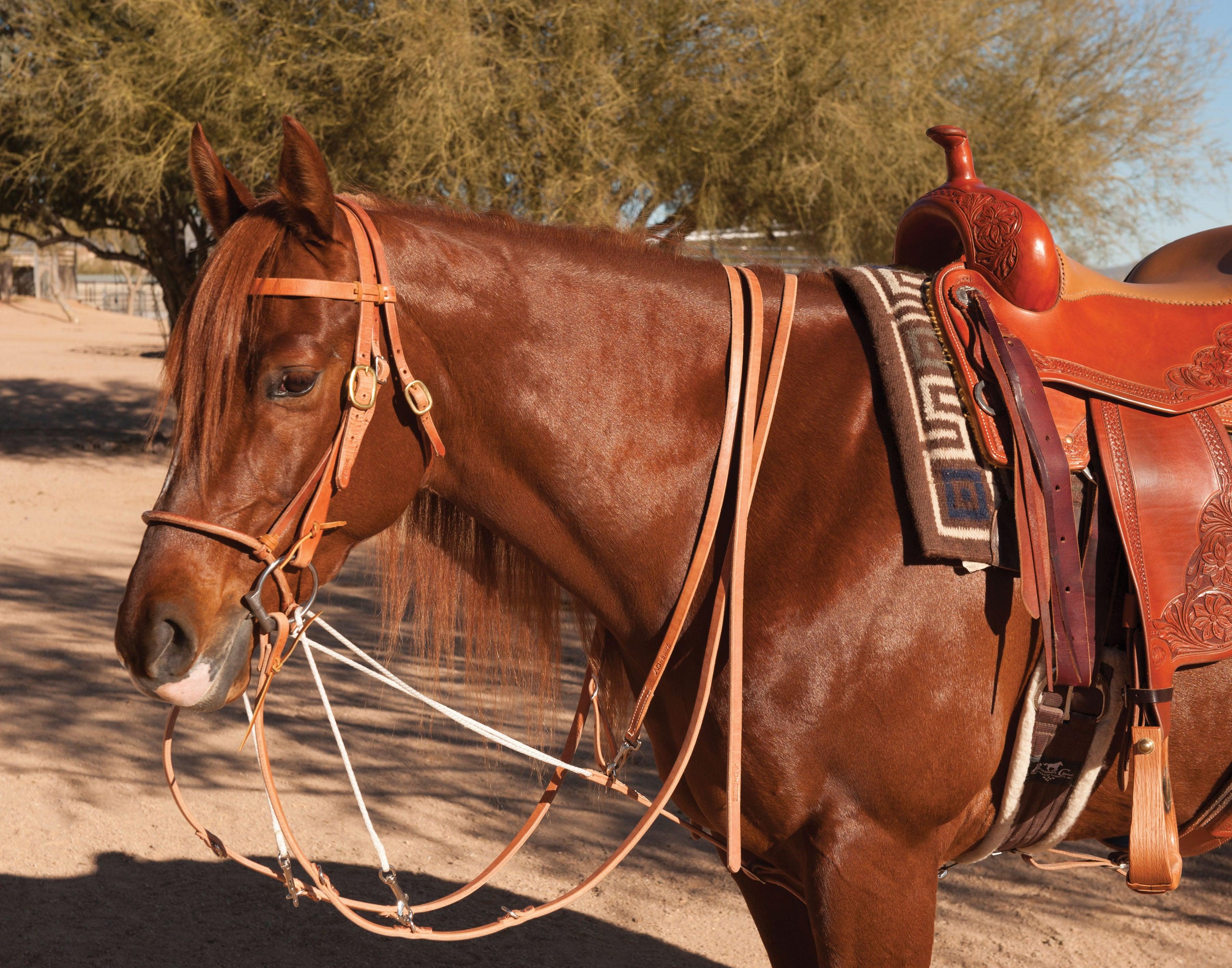 Professional's Choice AD German Martingale - Split Rein