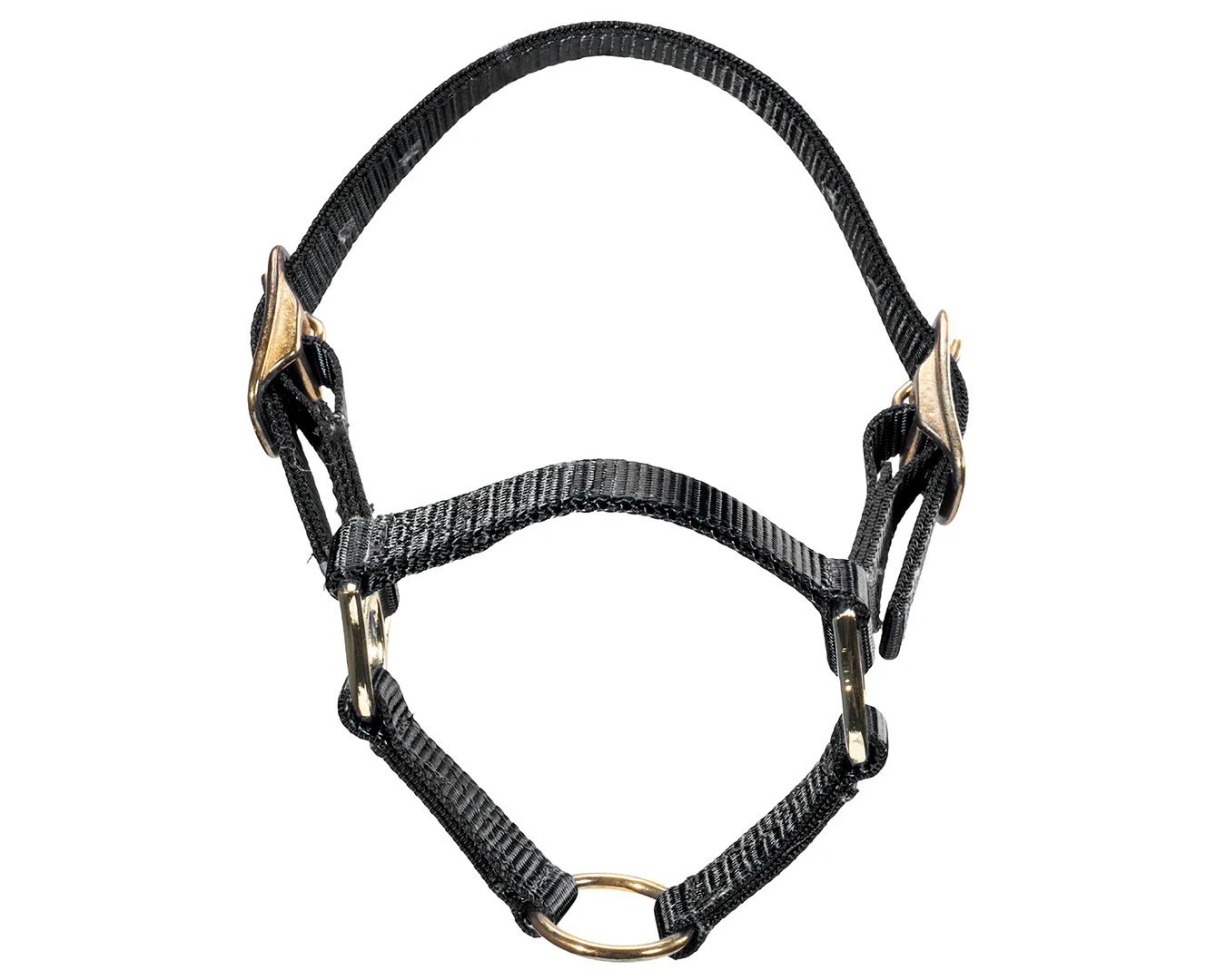 STC Sheep Halter - Image 3