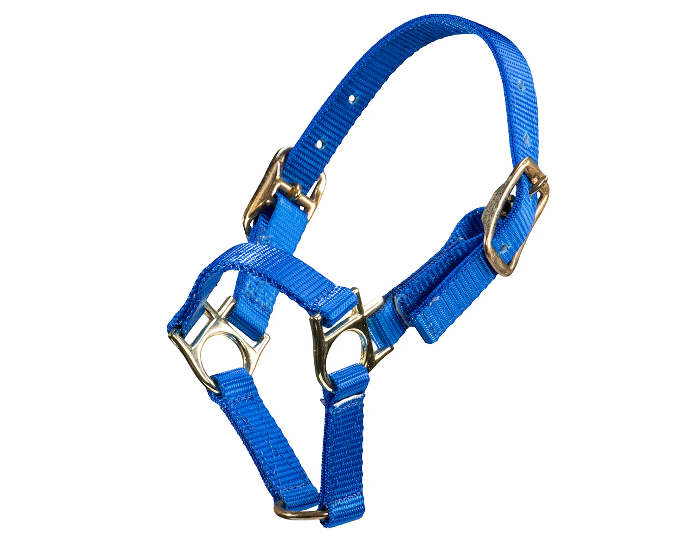 STC Sheep Halter - Image 4