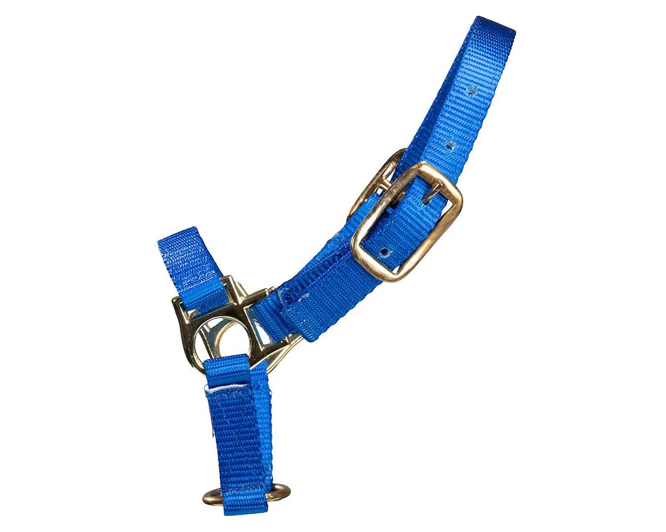 STC Sheep Halter - Image 5