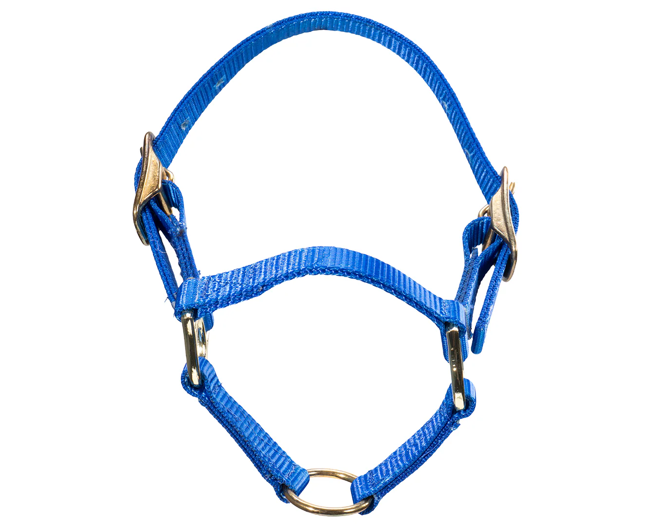 STC Sheep Halter - Image 6