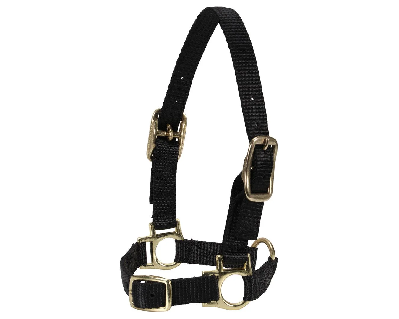 Sheep Halter w/Adjustable Noseband