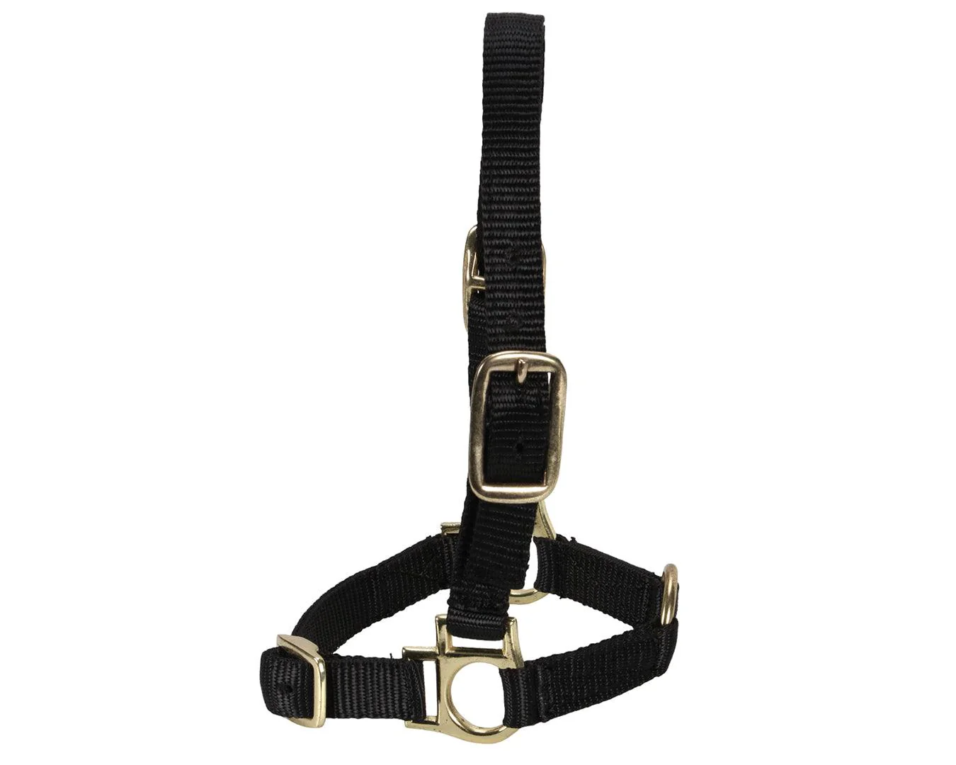 Sheep Halter w/Adjustable Noseband - Image 2
