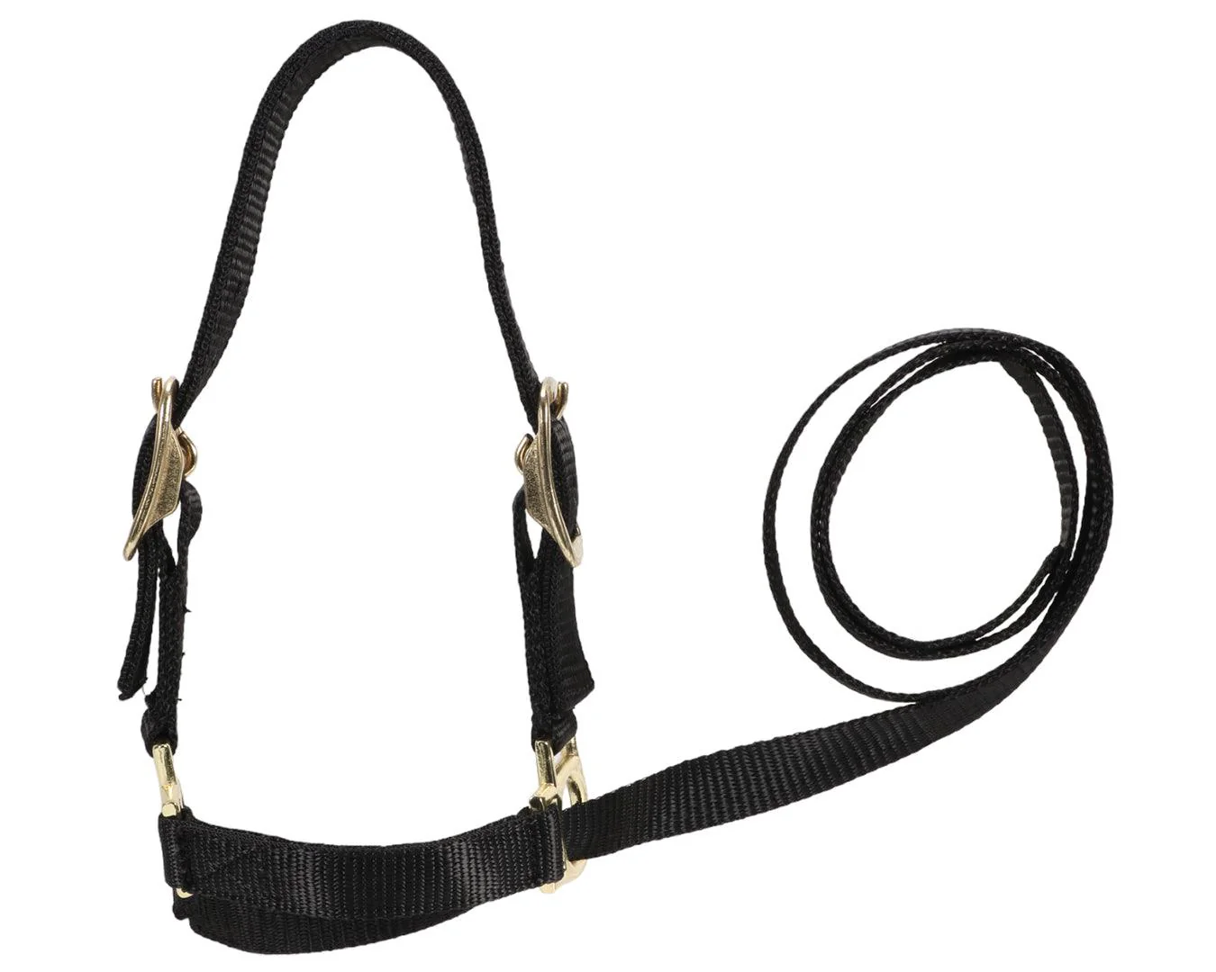 Sheep Show Halter - Image 3