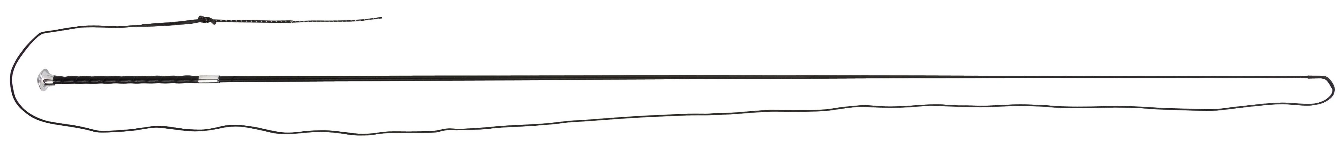 Sterling Lunge Whip