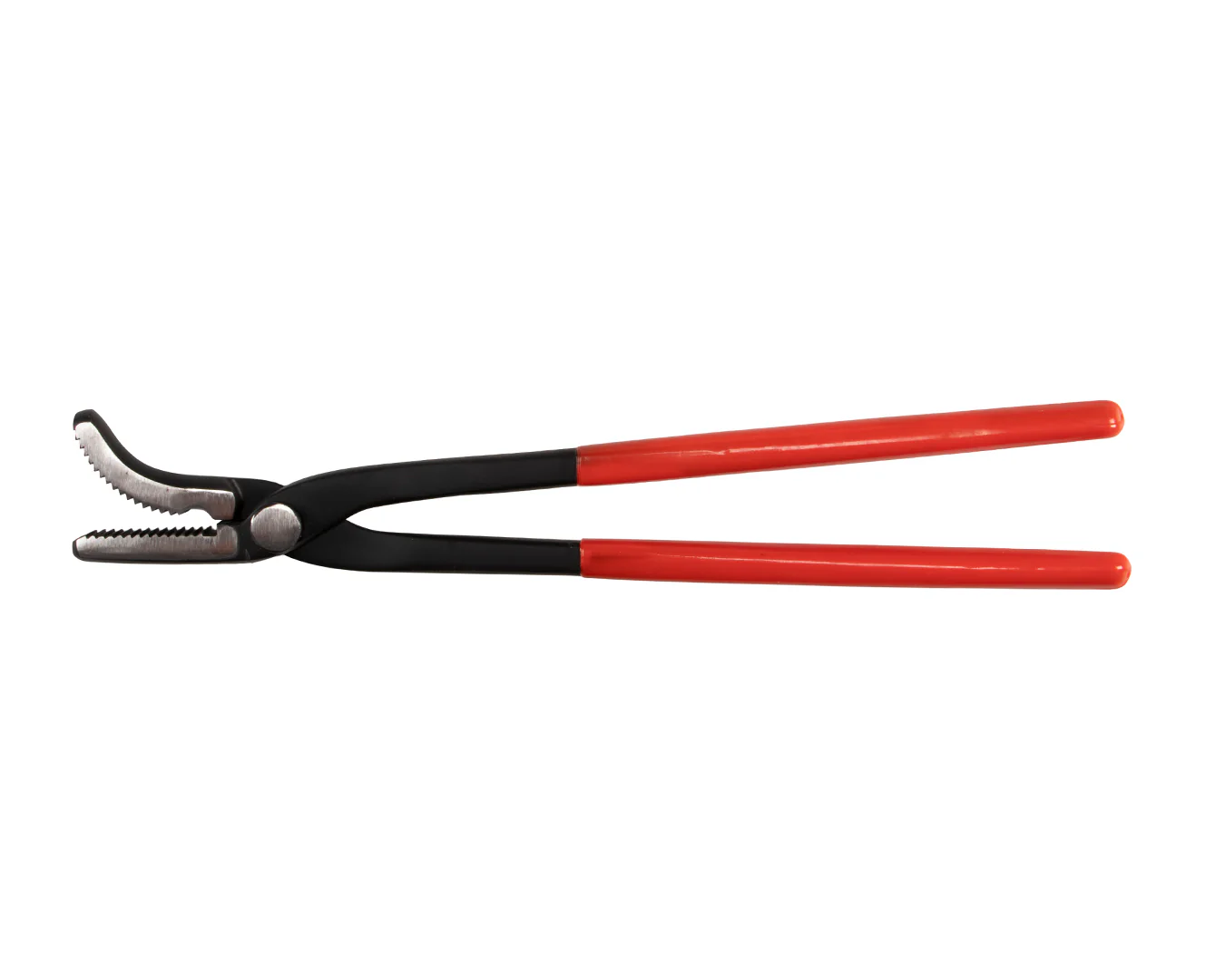Tennyson Saddle Horse Clinchers