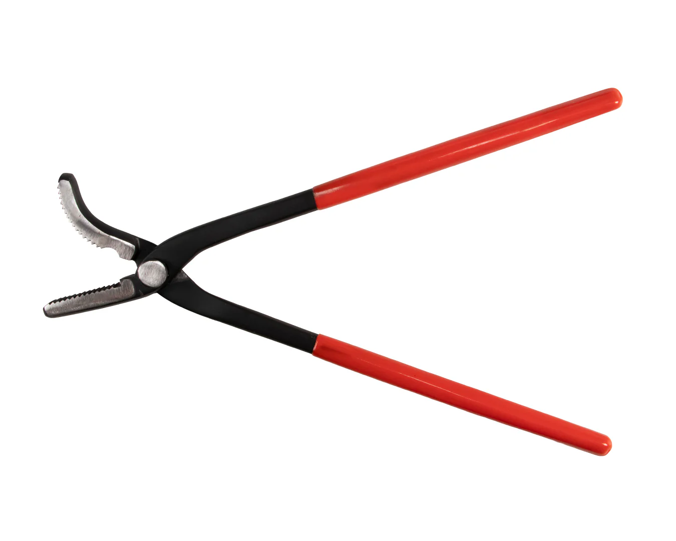 Tennyson Saddle Horse Clinchers - Image 2