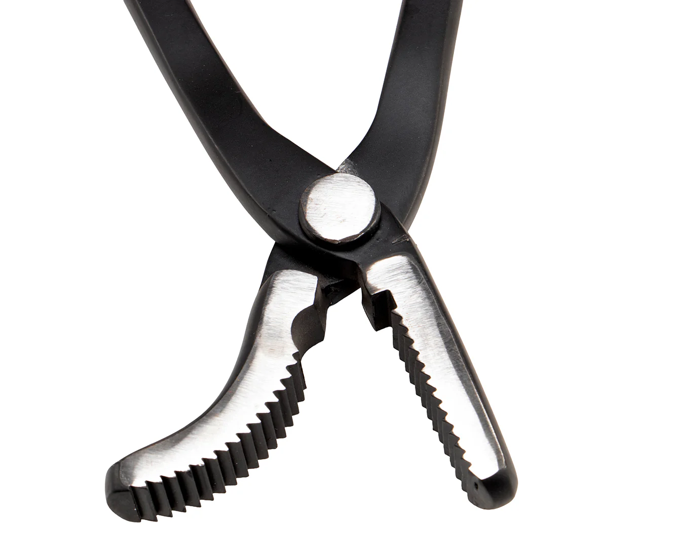 Tennyson Saddle Horse Clinchers - Image 4