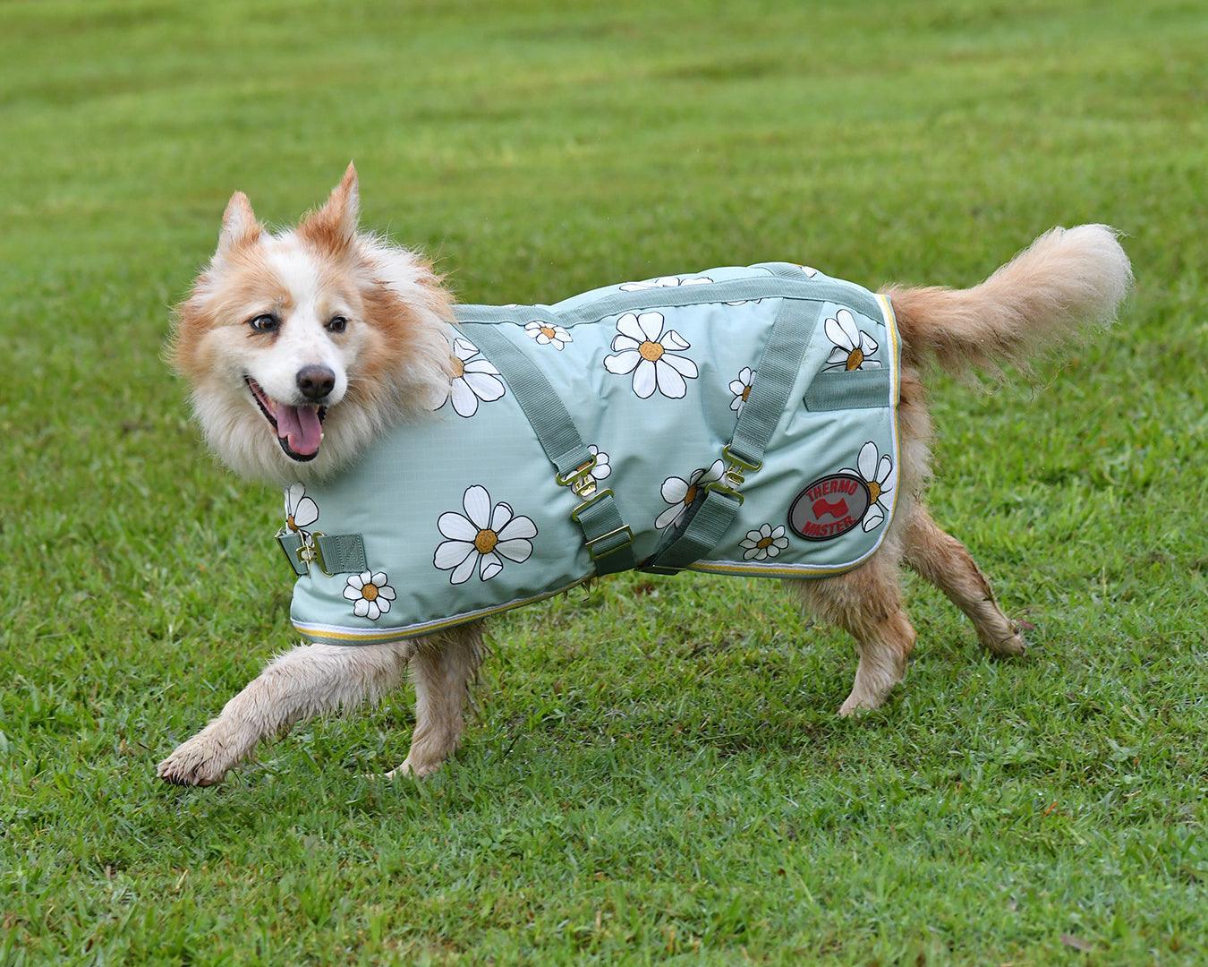 Thermo Master Supreme Dog Coat - Olive Daisies