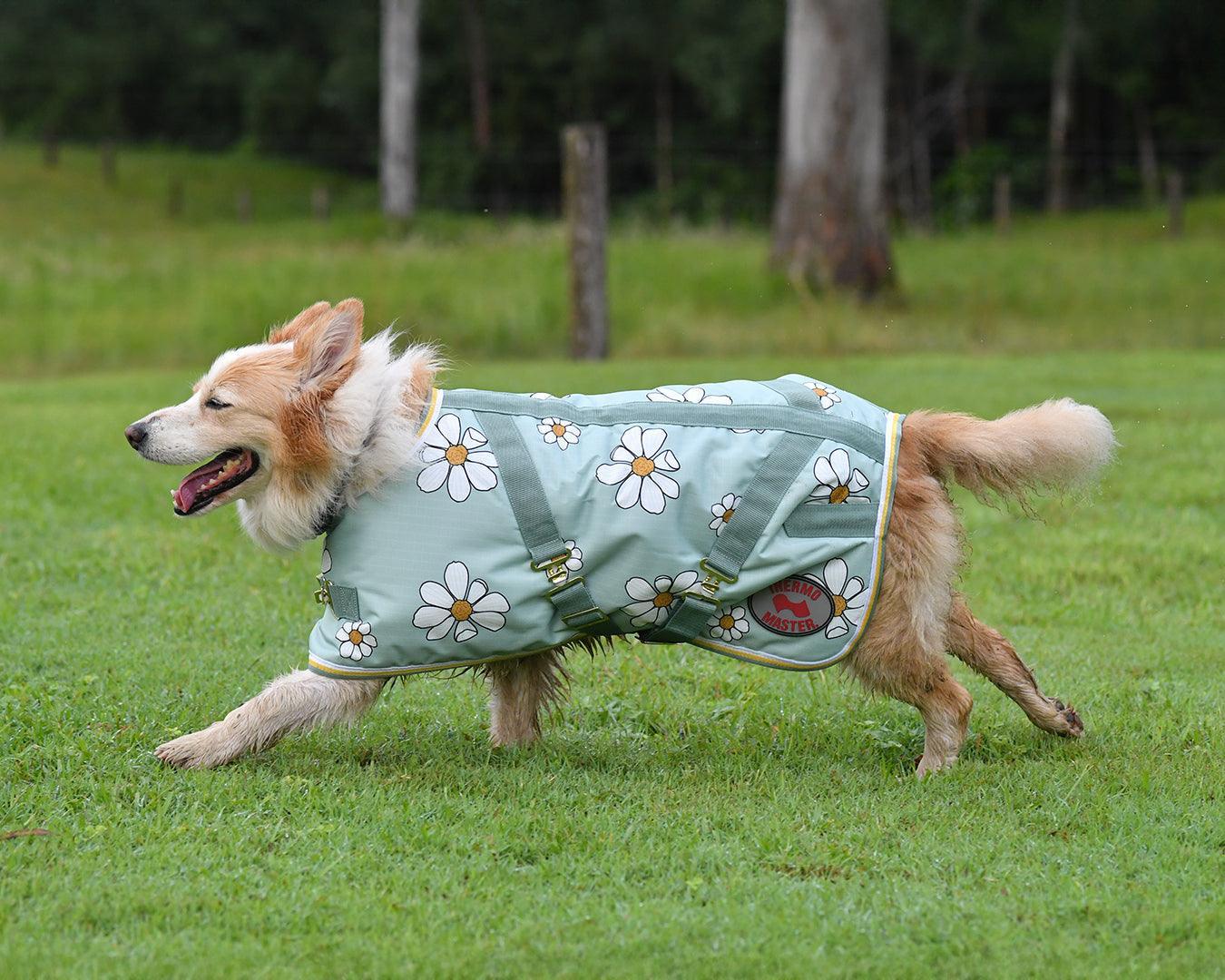 Thermo Master Supreme Dog Coat - Olive Daisies - Image 2