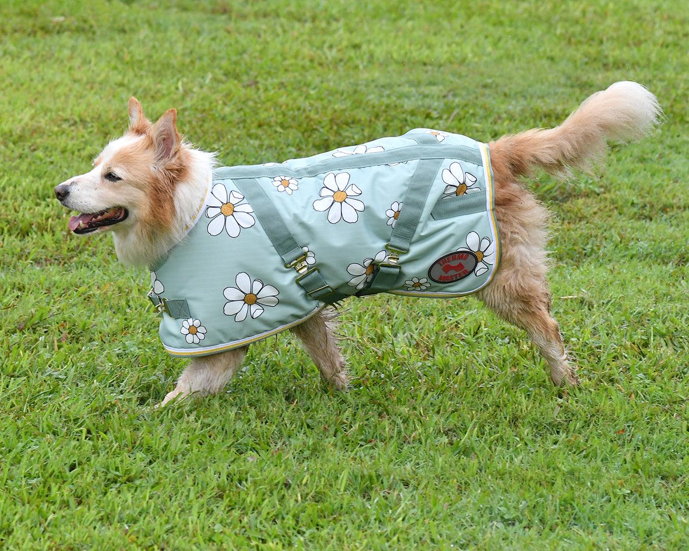 Thermo Master Supreme Dog Coat - Olive Daisies - Image 3