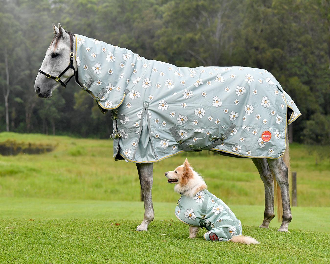 Thermo Master Supreme Dog Coat - Olive Daisies - Image 5