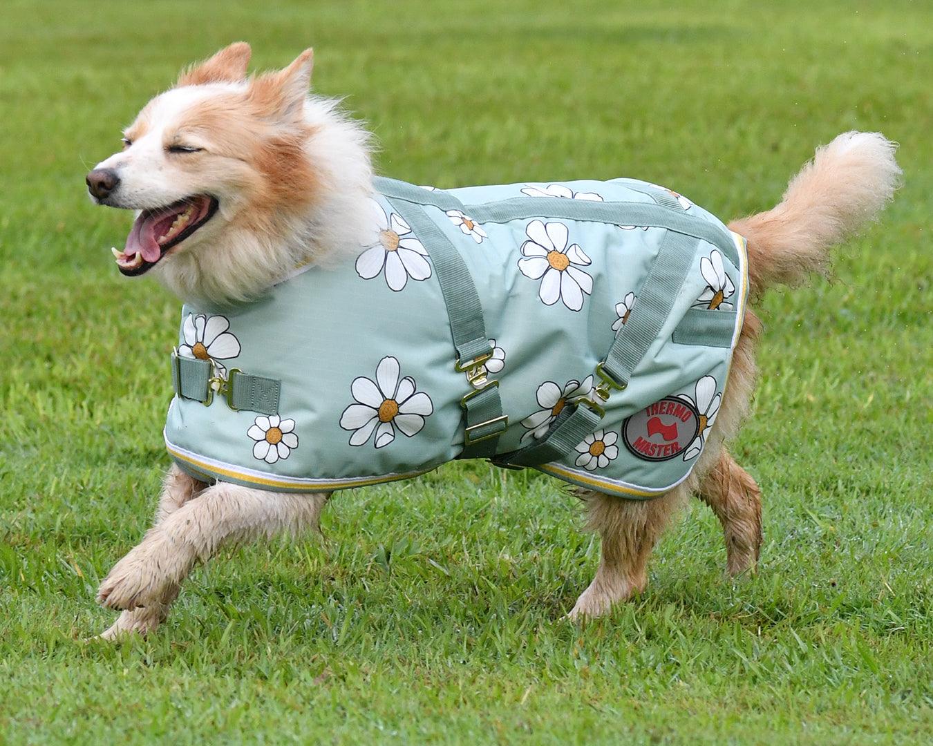 Thermo Master Supreme Dog Coat - Olive Daisies - Image 6