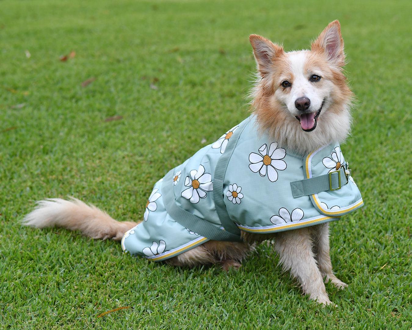 Thermo Master Supreme Dog Coat - Olive Daisies - Image 7