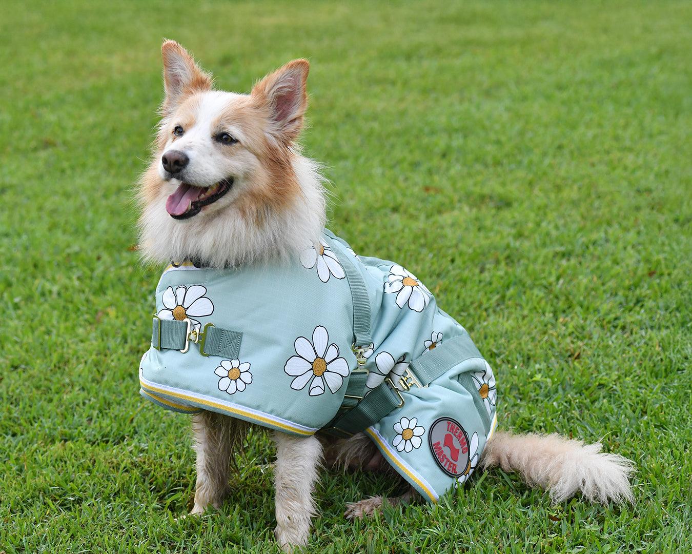 Thermo Master Supreme Dog Coat - Olive Daisies - Image 8