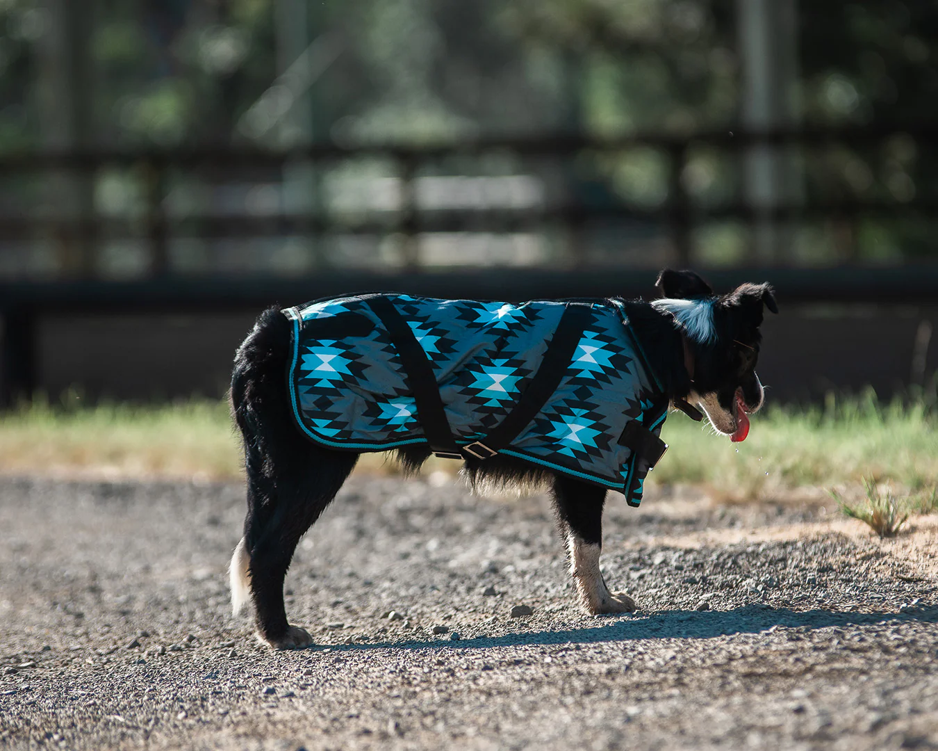 Thermo Master Supreme Dog Coat - Aztec/Turquoise - Image 2
