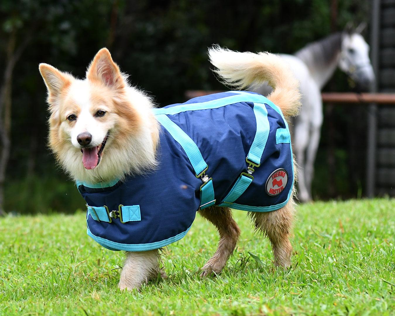 Thermo Master Supreme Dog Coat - Navy/Baby Blue - Image 4