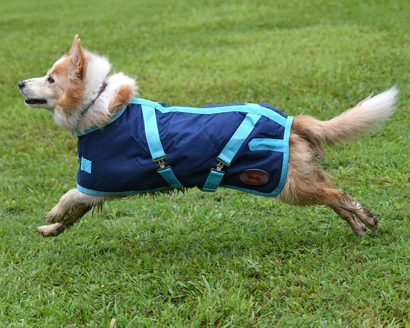 Thermo Master Supreme Dog Coat - Navy/Baby Blue - Image 7